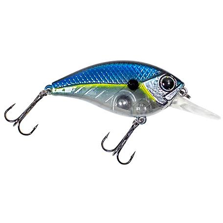 Lunkerhunt Impact Jolt 8F Crankbait, Hard Fishing Lure, Deep Diving Bait, 3/8oz Sassy